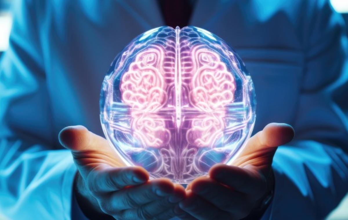 article illustrations_m6