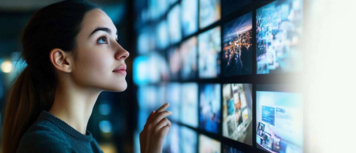 קטלוג תוכניות לימוד